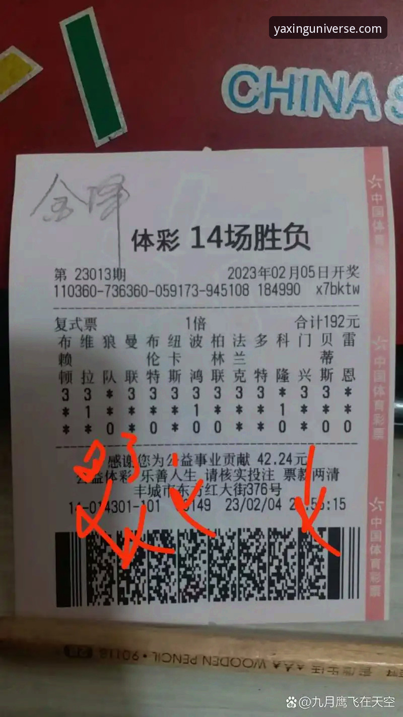西甲保级战局深度解析：亚星体育平台观赛必备知识与技术复盘